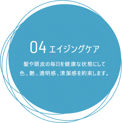 04エイジングケア:髪や頭皮の毎日を健康な状態にして色、艶、透明感、清潔感を約束します。