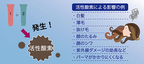 「悪玉活性酸素」が髪に色をつけるメラノサイト（色素細胞）や毛髪をつくり出す毛包幹細胞を傷つけ、髪を白くしたり髪が生えてくる機能を低下させ、白髪・くせ毛・抜け毛を引き起こします。そしてヘアカラーやパーマなど酸化剤を使用するものは、通常の悪玉活性酸素が発生しています。そのまま放っておくと悪い影響を及ぼしてしまうことが分かってまいりました。つまり「染めれば染めるほど、白髪が増える」のです。この悪玉活性酸素を取り除くことで、これらのリスクから髪や頭皮を守れます。