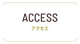 access-main-text