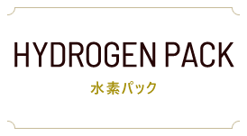 h-pack-main-text h-pack-main-text